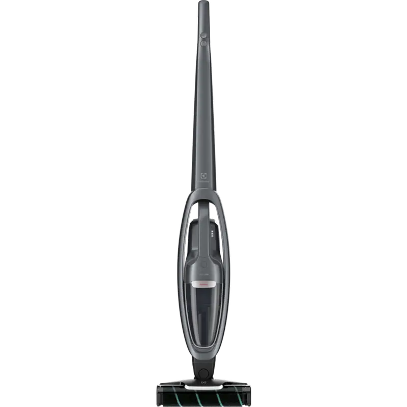 Vacuum cleaner Electrolux WQ81-PANIM
