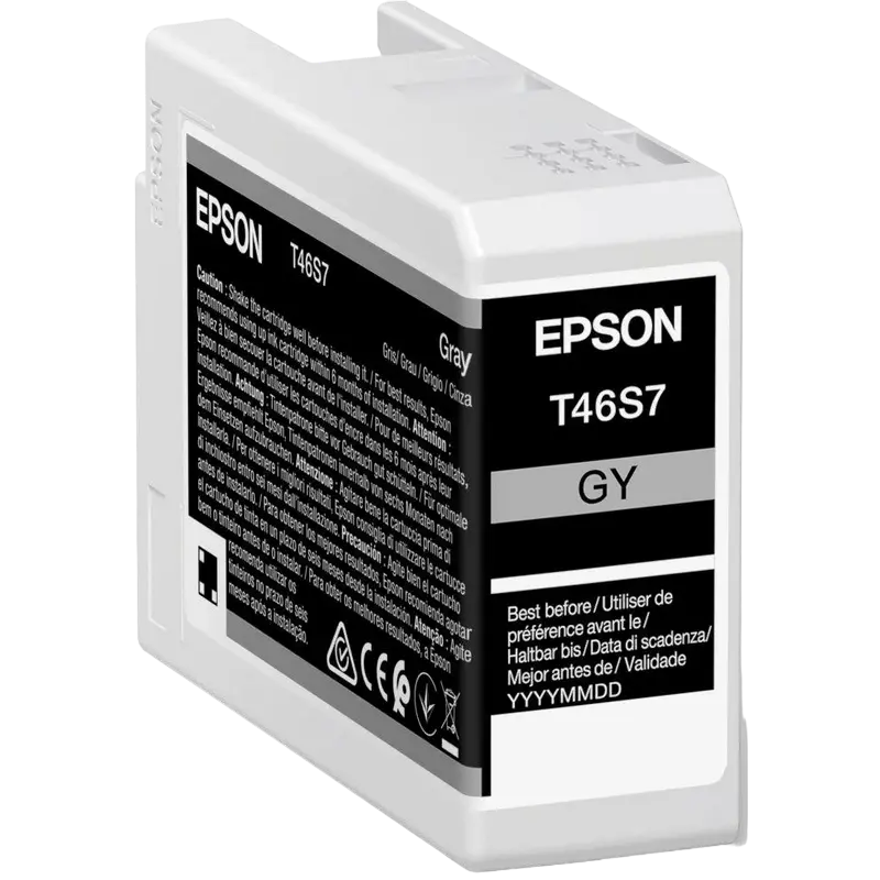 Cartuș cerneală Epson T46S7 UltraChrome PRO 10 Ink, Gray
