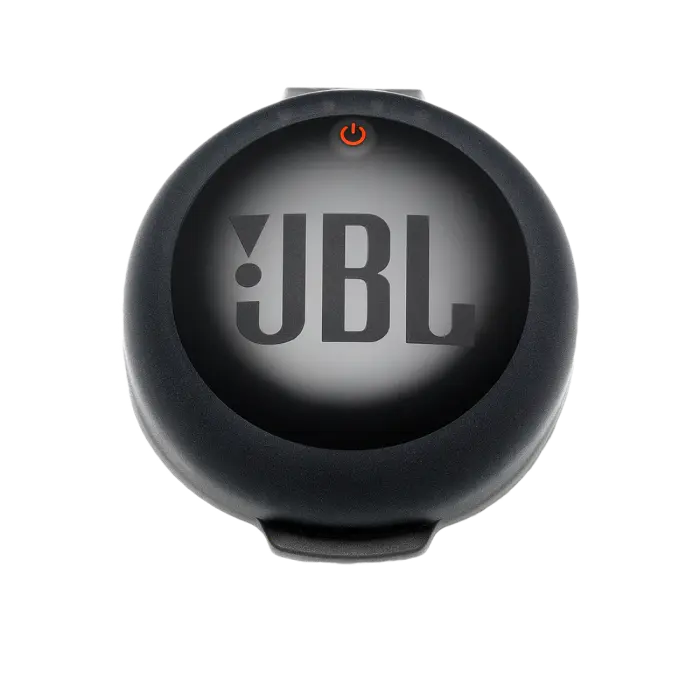 JBL Charging Case