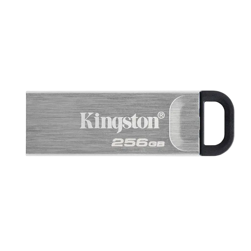 Kingston DataTraveler Kyson 256GB Silver