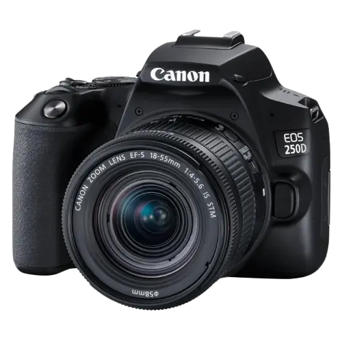 Canon EOS 250D & EF-S 18-55mm f/3.5-5.6 DC III Kit