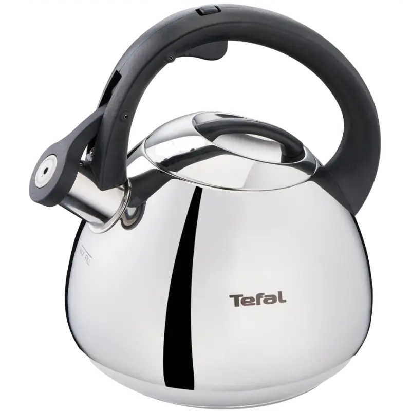 Tefal K2481574 fierbător
