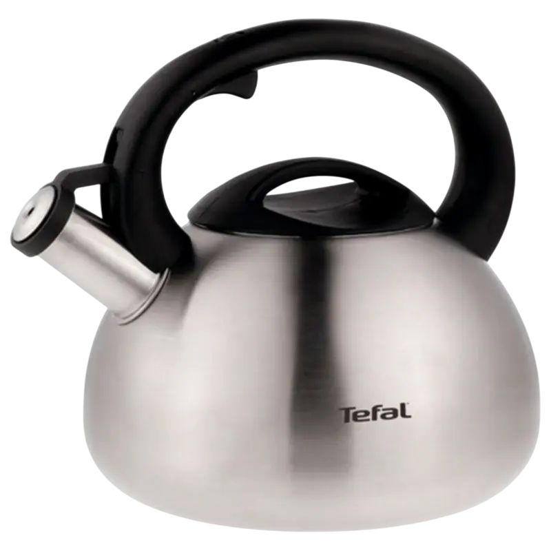 Tefal N4180217 fierbător