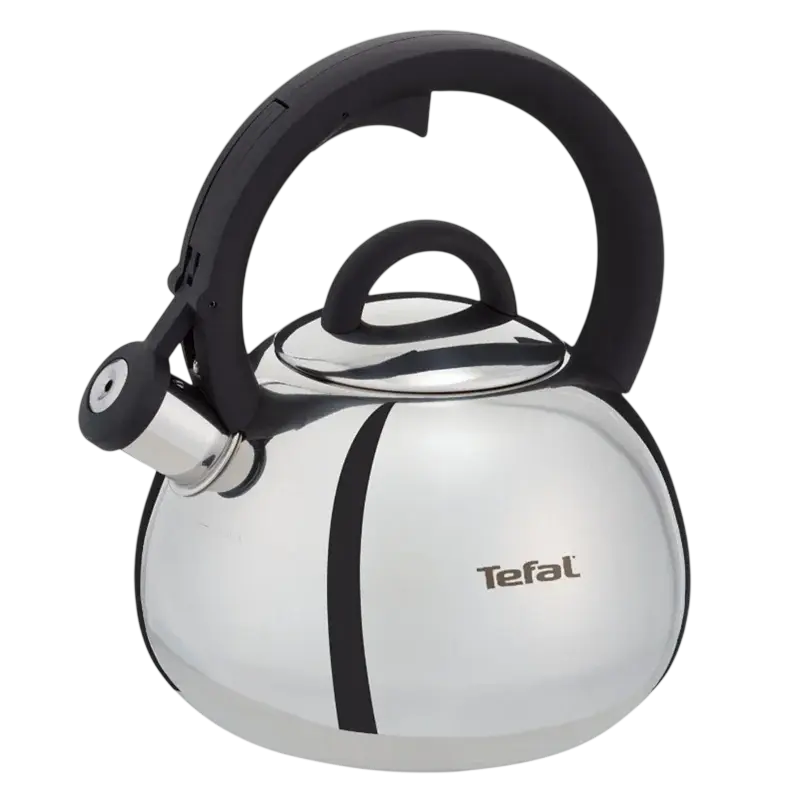 Tefal N4180310 fierbător