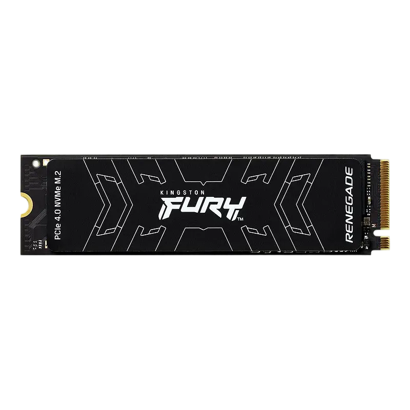 Kingston FURY Renegade M.2 SSD 500GB