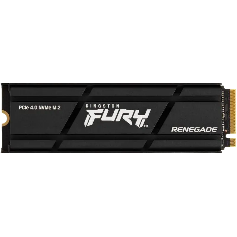 Kingston FURY Renegade M.2 SSD 500GB