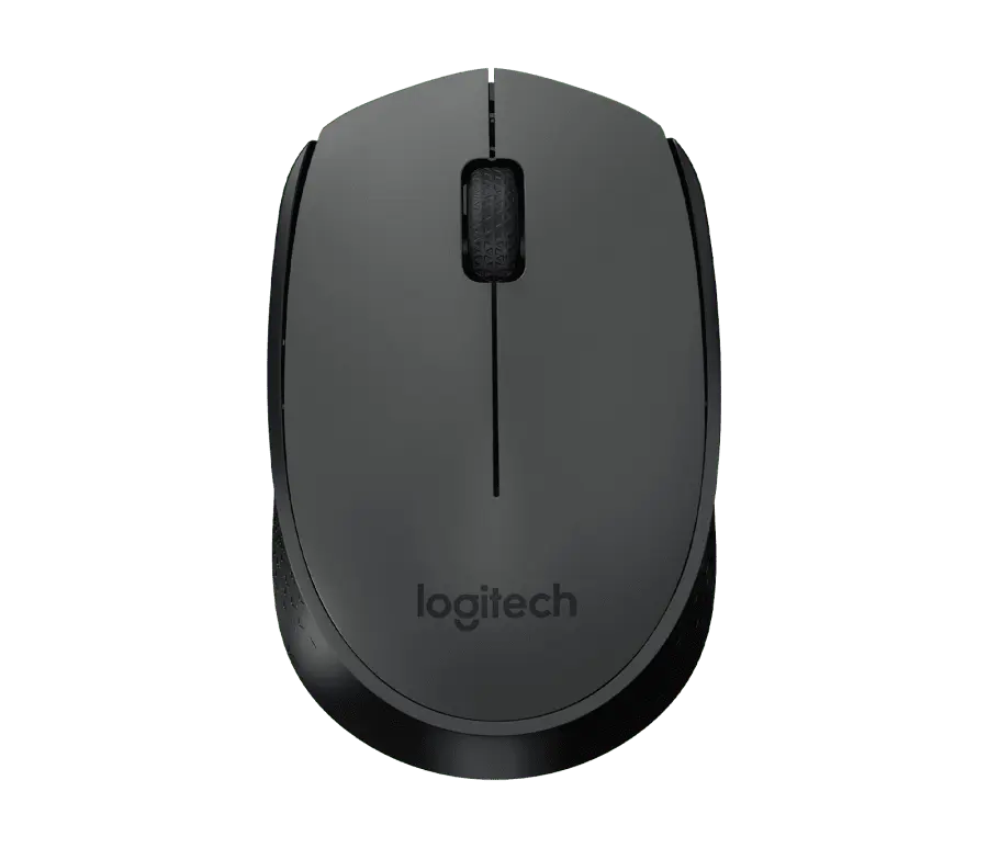 Mouse Logitech M170