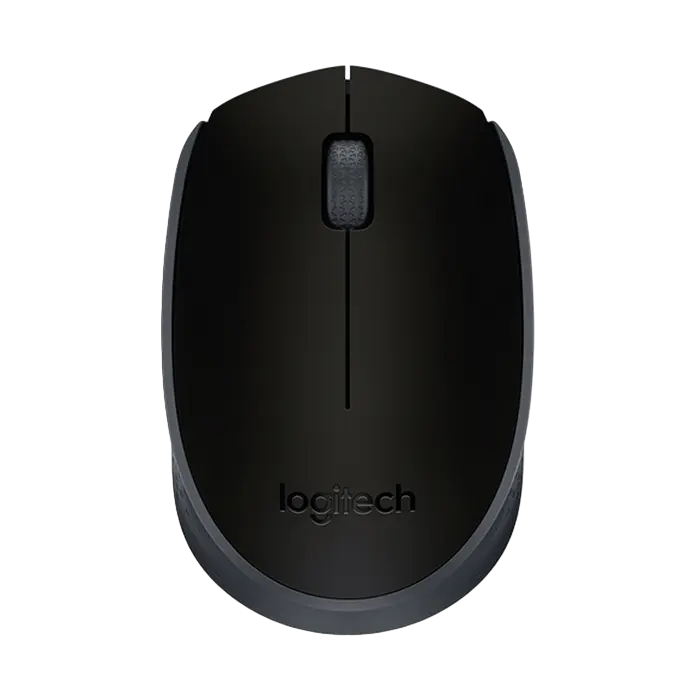 Mouse Logitech M171