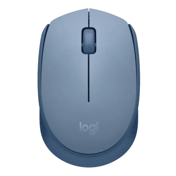 Mouse Logitech M171