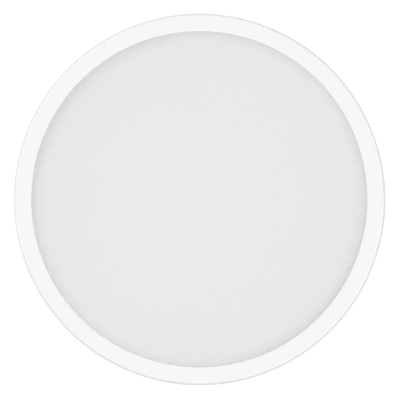Xiaomi Smart Ceiling Light D30