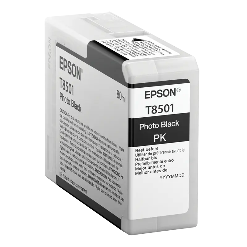 Cartuș cerneală Epson T850100 PhotoBlack
