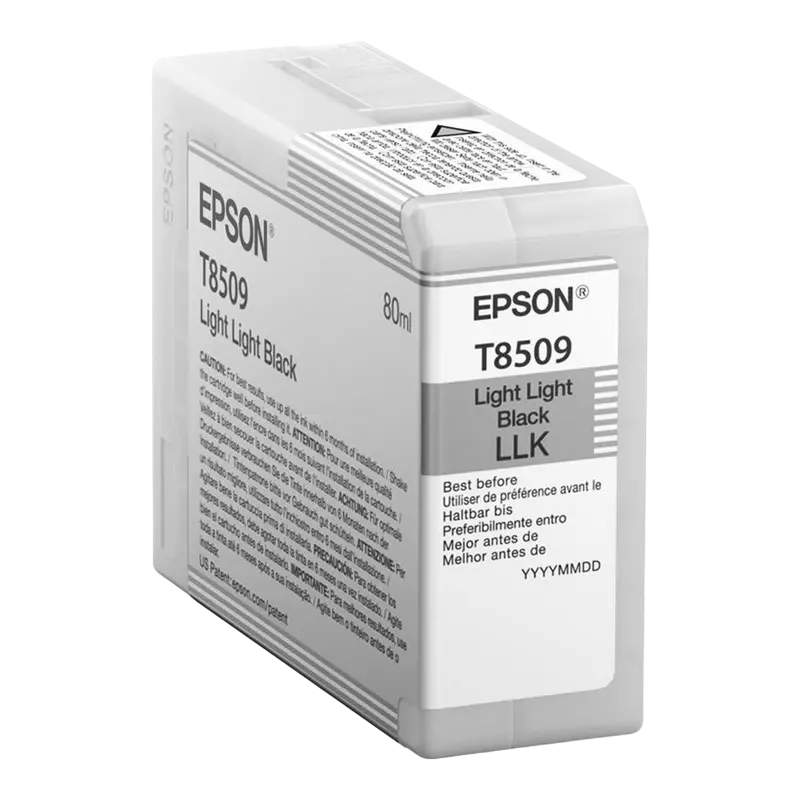 Cartuș cerneală Epson T850900 LLBlack