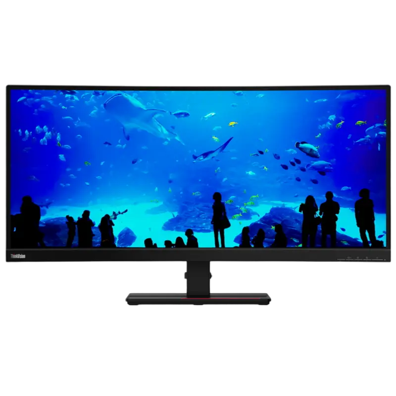 Lenovo ThinkVision T34w-20 34 inch 3440x1440 VA 60Hz Black